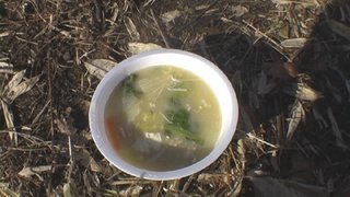 平成26年11月23日(日) 植苗の森 天候:晴れ 参加:12名_c0173813_21364169.jpg