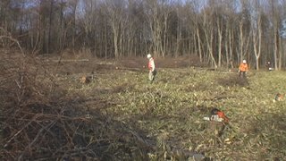 平成26年11月23日(日) 植苗の森 天候:晴れ 参加:12名_c0173813_22192397.jpg