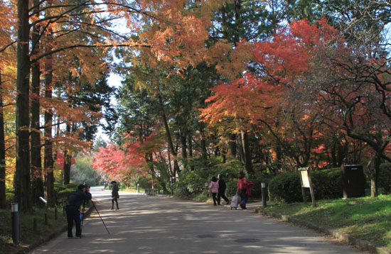 14紅葉めぐり 35 府立植物園_e0048413_20362.jpg