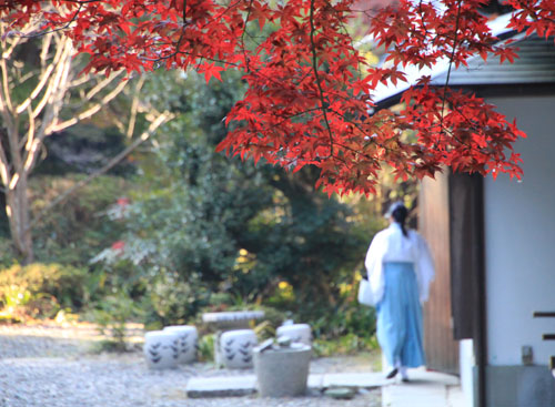 14紅葉めぐり 36 日向大神宮_e0048413_20493935.jpg