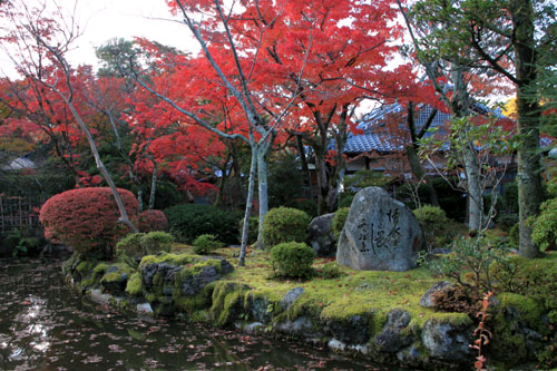 14紅葉めぐり 38 清水寺_e0048413_22122454.jpg