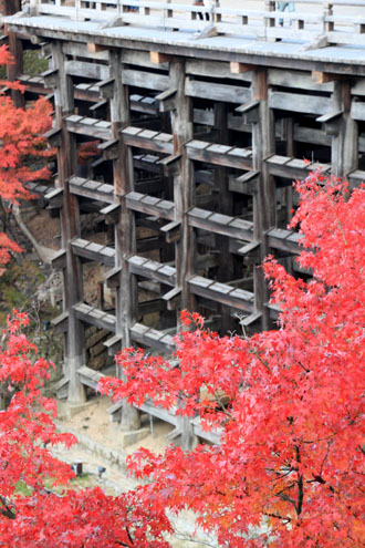 14紅葉めぐり 38 清水寺_e0048413_22125468.jpg