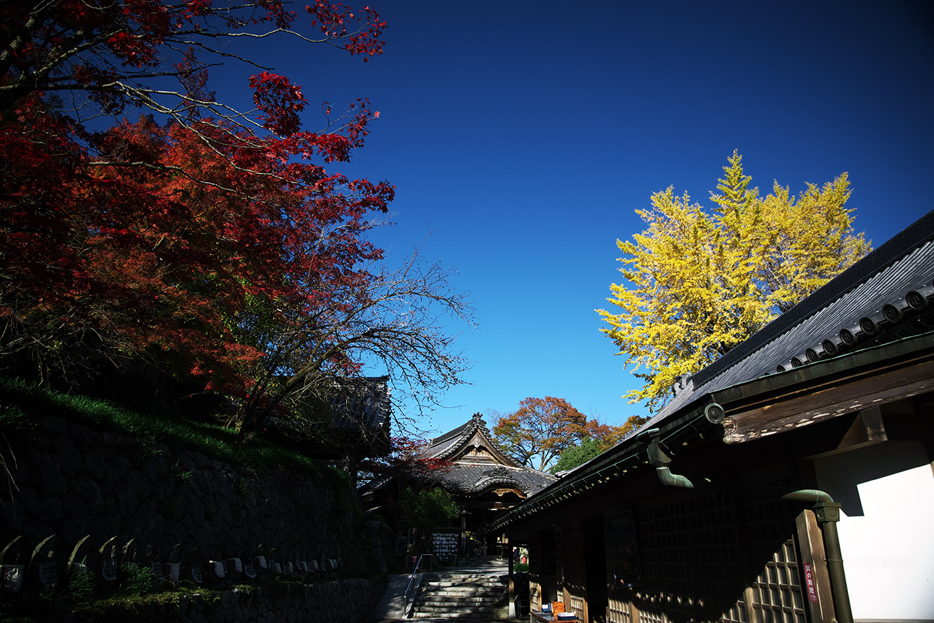 c0115616_1734574.jpg