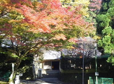 紅葉も見頃です_e0234016_1942372.jpg
