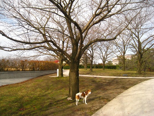 c0084117_20302661.jpg
