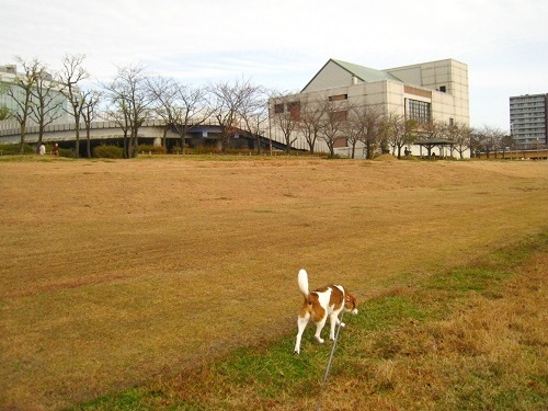 c0084117_20391180.jpg