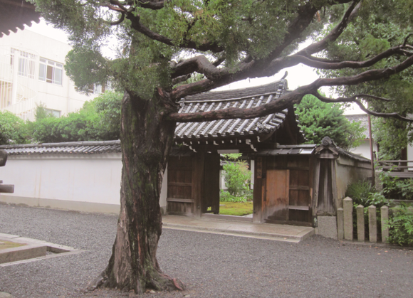 a0254818_1758314.png