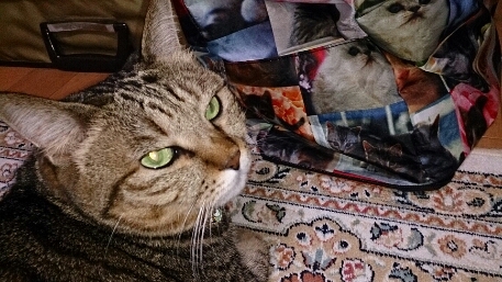 f0220919_22161781.jpg