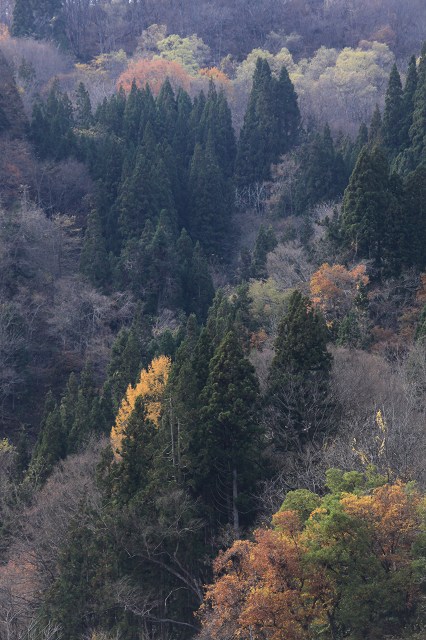 e0242721_8275328.jpg
