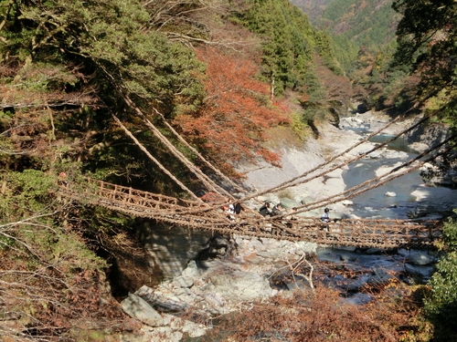 徳島の旅　/　祖谷渓、大歩危_a0105023_21412519.jpg