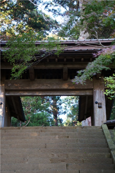 匝瑳市　飯高寺_e0244024_140167.jpg