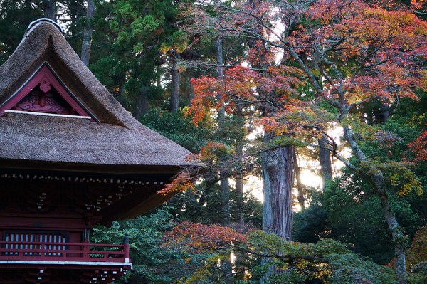 匝瑳市　飯高寺_e0244024_1424599.jpg