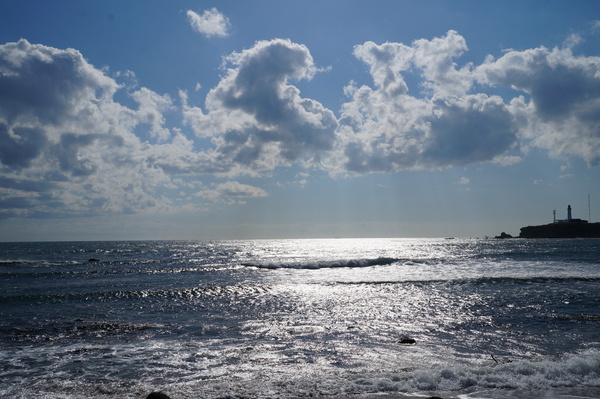 e0244024_1511938.jpg