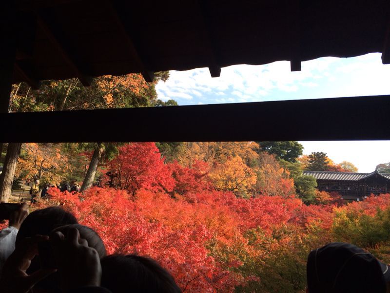 紅葉の東福寺は人だらけでも素晴らしい_e0139926_1053732.jpg