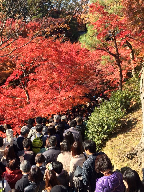 紅葉の東福寺は人だらけでも素晴らしい_e0139926_1054864.jpg