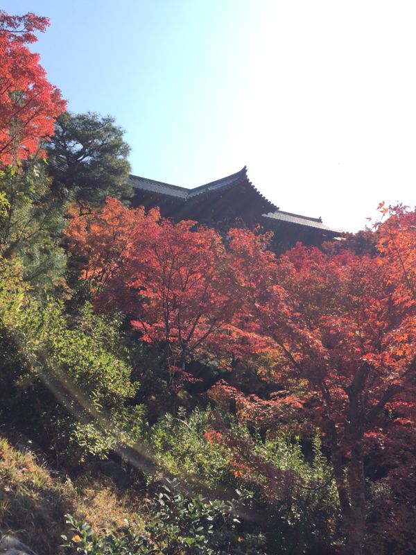 紅葉の東福寺は人だらけでも素晴らしい_e0139926_1054922.jpg