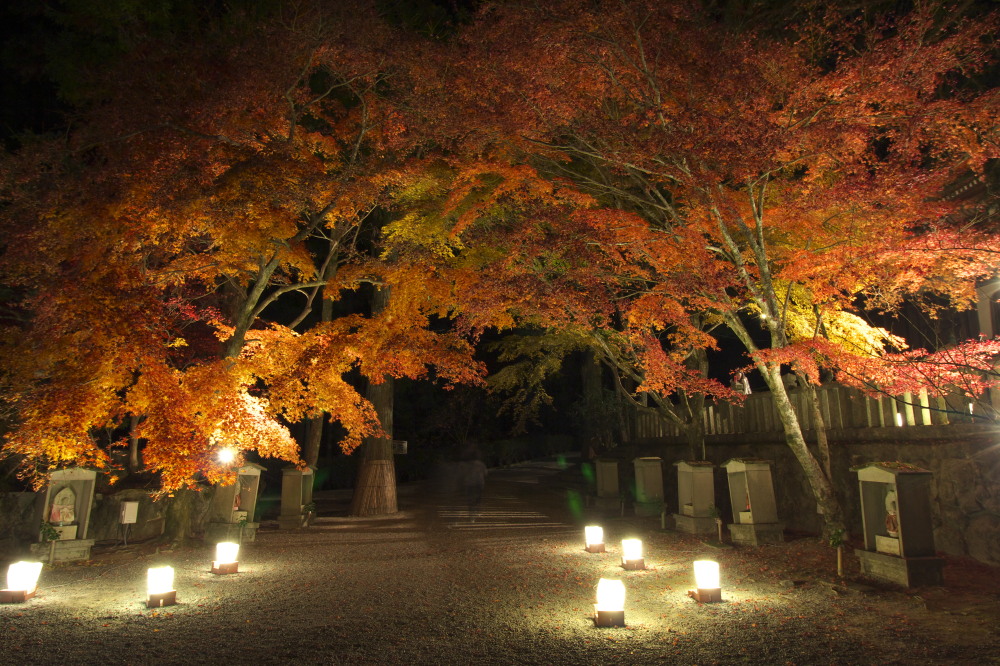 播州清水寺にて_e0161426_20415758.jpg