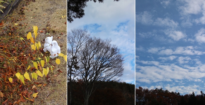 葉が散っていく_a0212730_20234437.jpg