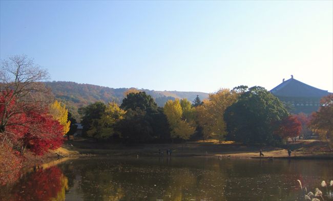 大仏池　　　　　　　　　　奈良県_b0180433_12265722.jpg