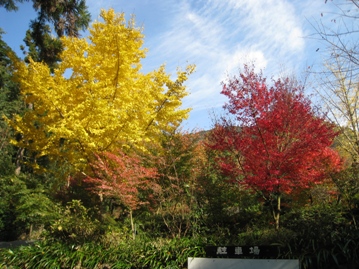 c0077338_2092337.jpg