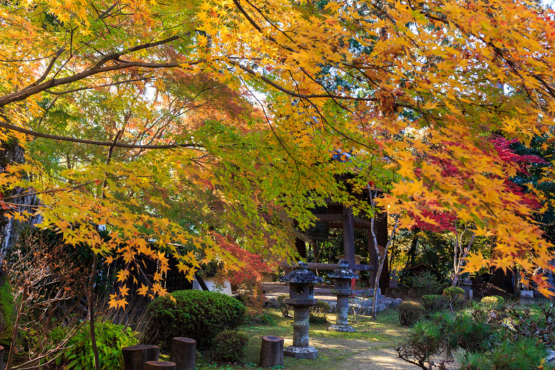 色とりどりの紅葉に包まれる境内（十輪寺）_f0155048_0225924.jpg