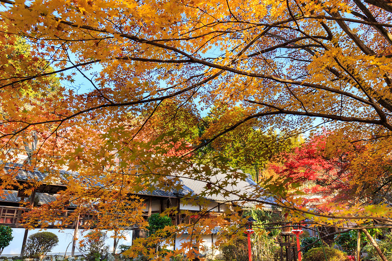 色とりどりの紅葉に包まれる境内（十輪寺）_f0155048_0232429.jpg