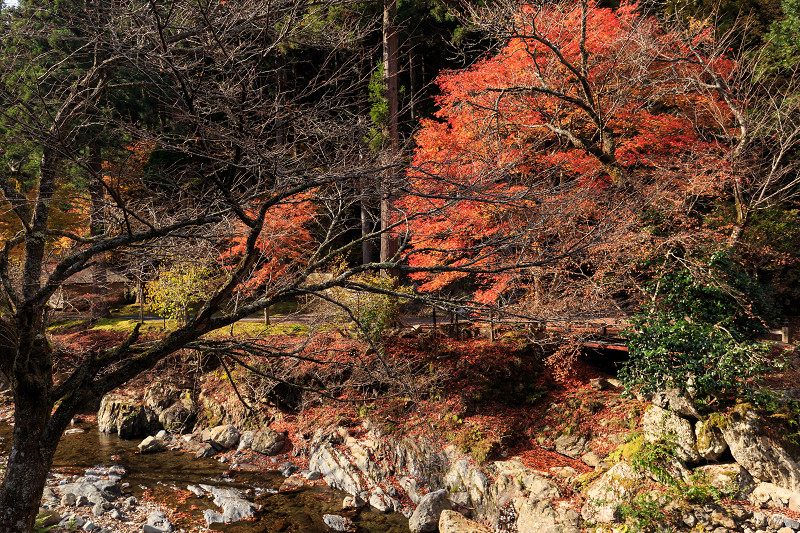 峰定寺・深まる秋_f0155048_2116189.jpg
