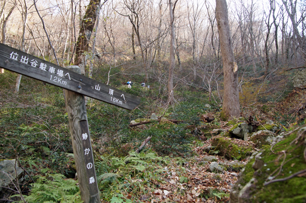 f0214649_46527.jpg