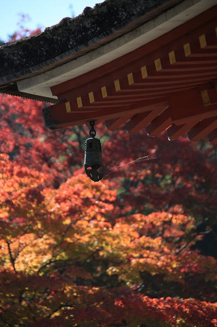 秋色の室生寺_f0288049_10272386.jpg