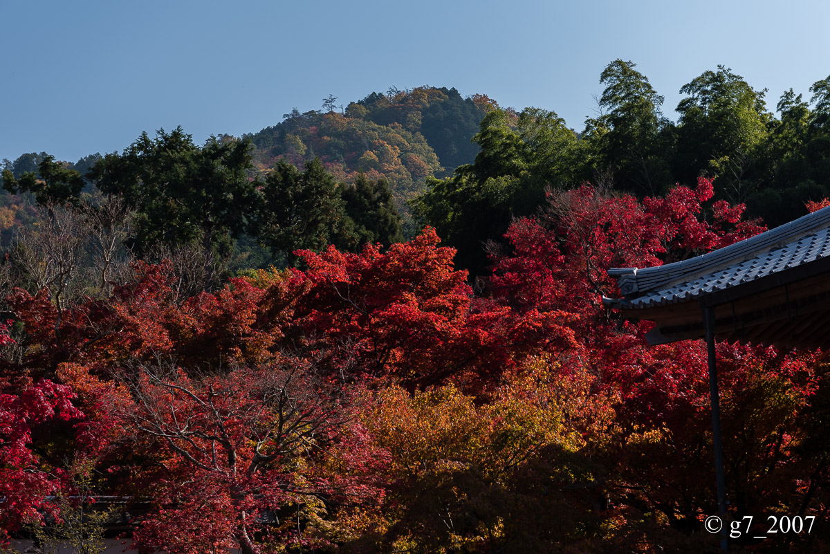 京都の紅葉 2014　〜圓光寺〜_f0152550_18405338.jpg