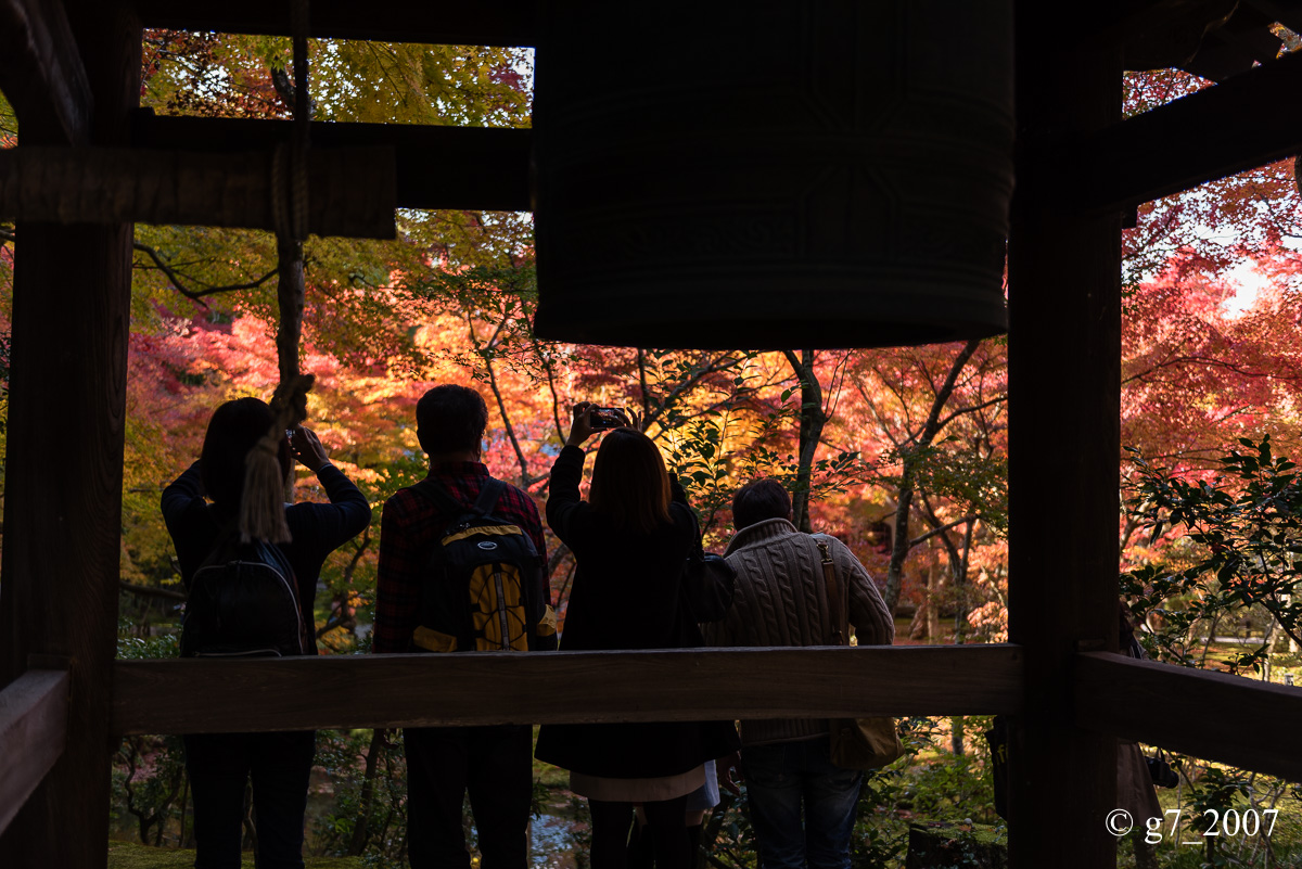 京都の紅葉 2014　〜圓光寺〜_f0152550_18473633.jpg