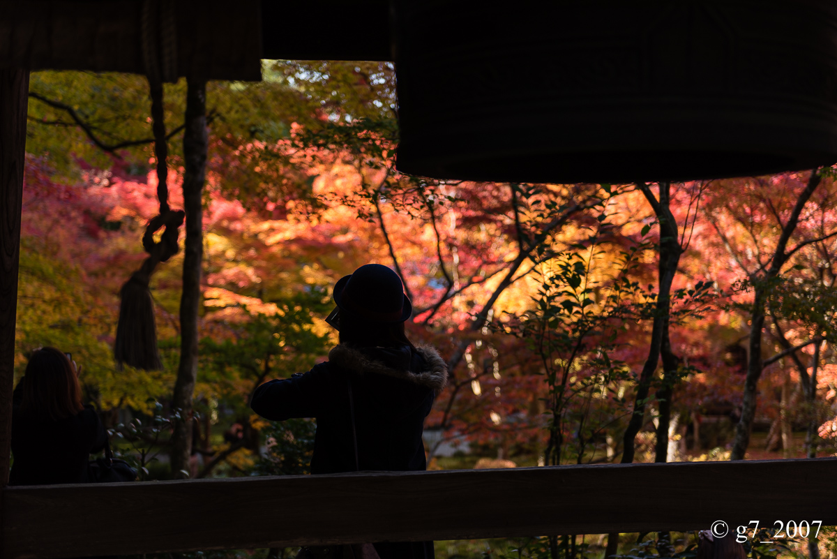 京都の紅葉 2014　〜圓光寺〜_f0152550_18475444.jpg