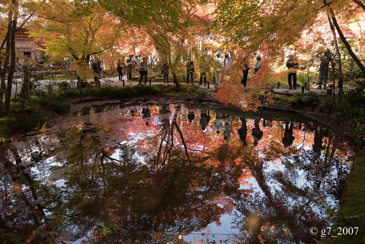 京都の紅葉 2014　〜圓光寺〜_f0152550_18481399.jpg