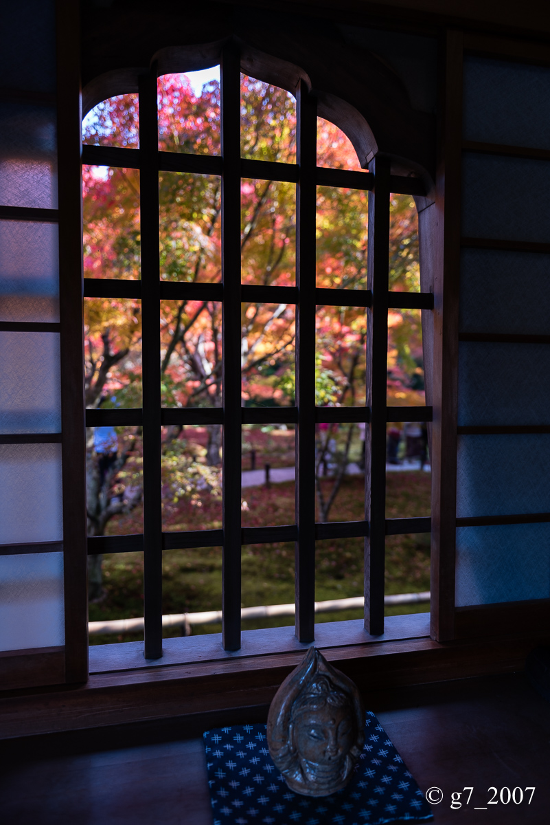 京都の紅葉 2014　〜圓光寺〜_f0152550_1849595.jpg