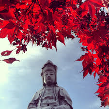 a0290852_20512329.png