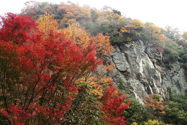b0227552_20122335.jpg