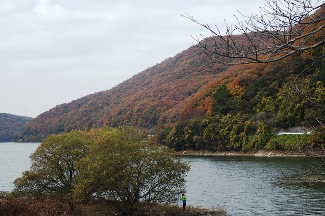 b0227552_20140788.jpg