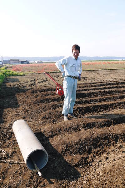 有機栽培の水田ごぼう ごぼうの種まき その2_a0254656_17335329.jpg