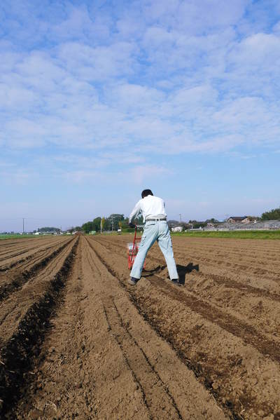 有機栽培の水田ごぼう ごぼうの種まき その2_a0254656_1758263.jpg