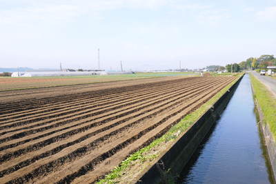 有機栽培の水田ごぼう ごぼうの種まき その2_a0254656_18292760.jpg
