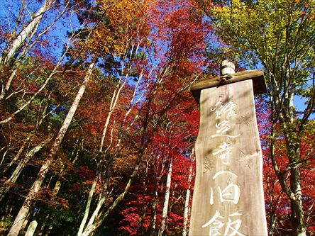 鶏足寺（けいそくじ）の紅葉_e0044657_18164363.jpg