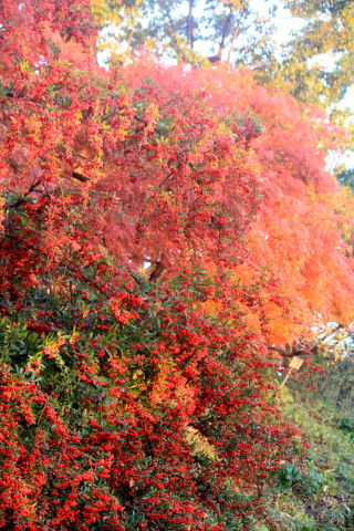 a0248459_19015418.jpg