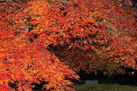 a0248459_19031701.jpg