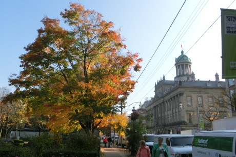 c0144260_03420575.jpg