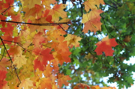 c0144260_04241715.jpg