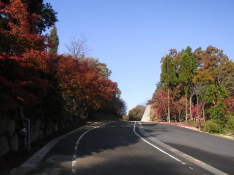 b0324461_09161340.jpg