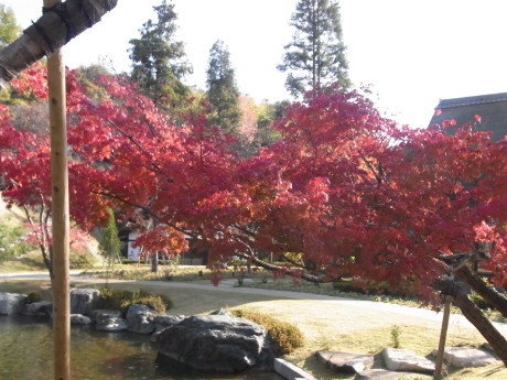 b0324461_09163647.jpg