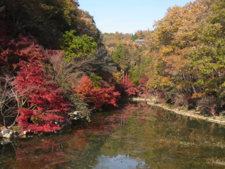 b0324461_09210276.jpg