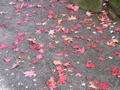 b0324461_09225154.jpg