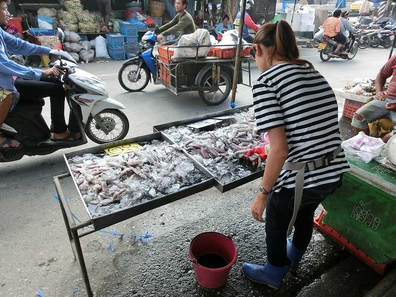 タイ人は亀を食べるか、食べないか_c0134569_15462627.jpg